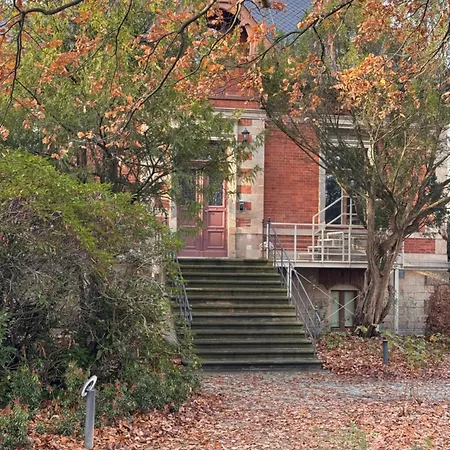 Familien- & Tierfreundliches In Elbnaehe & Mit Direktem Zugang Zum Waldpark Дрезден